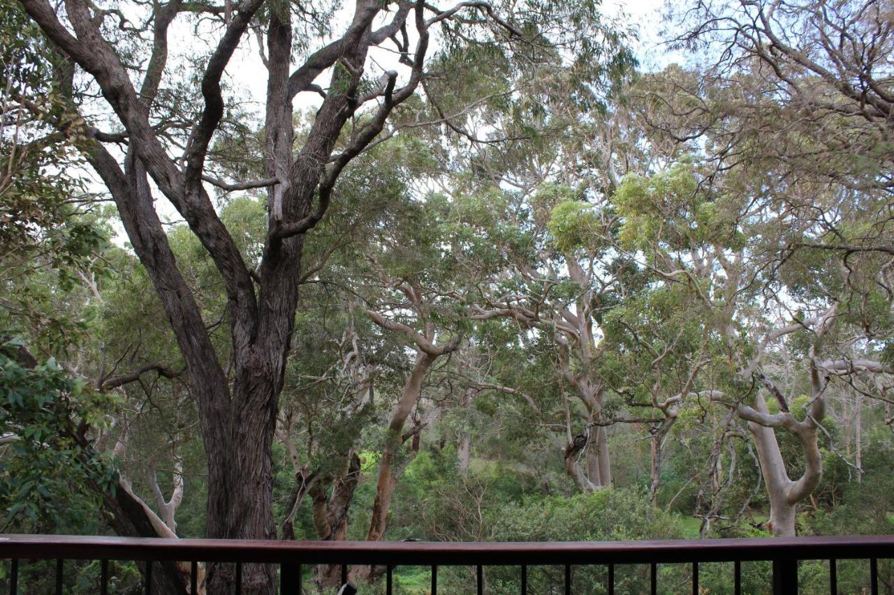 Karriview Margaret River Villa Bagian luar foto